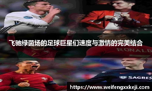 jbo竞博电竞官方网站