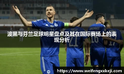 波黑与芬兰足球明星盘点及其在国际赛场上的表现分析