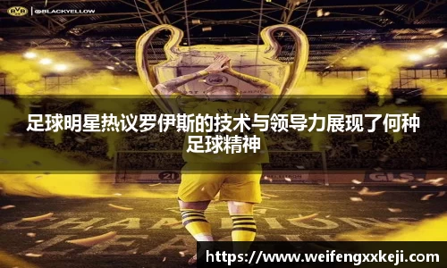 足球明星热议罗伊斯的技术与领导力展现了何种足球精神